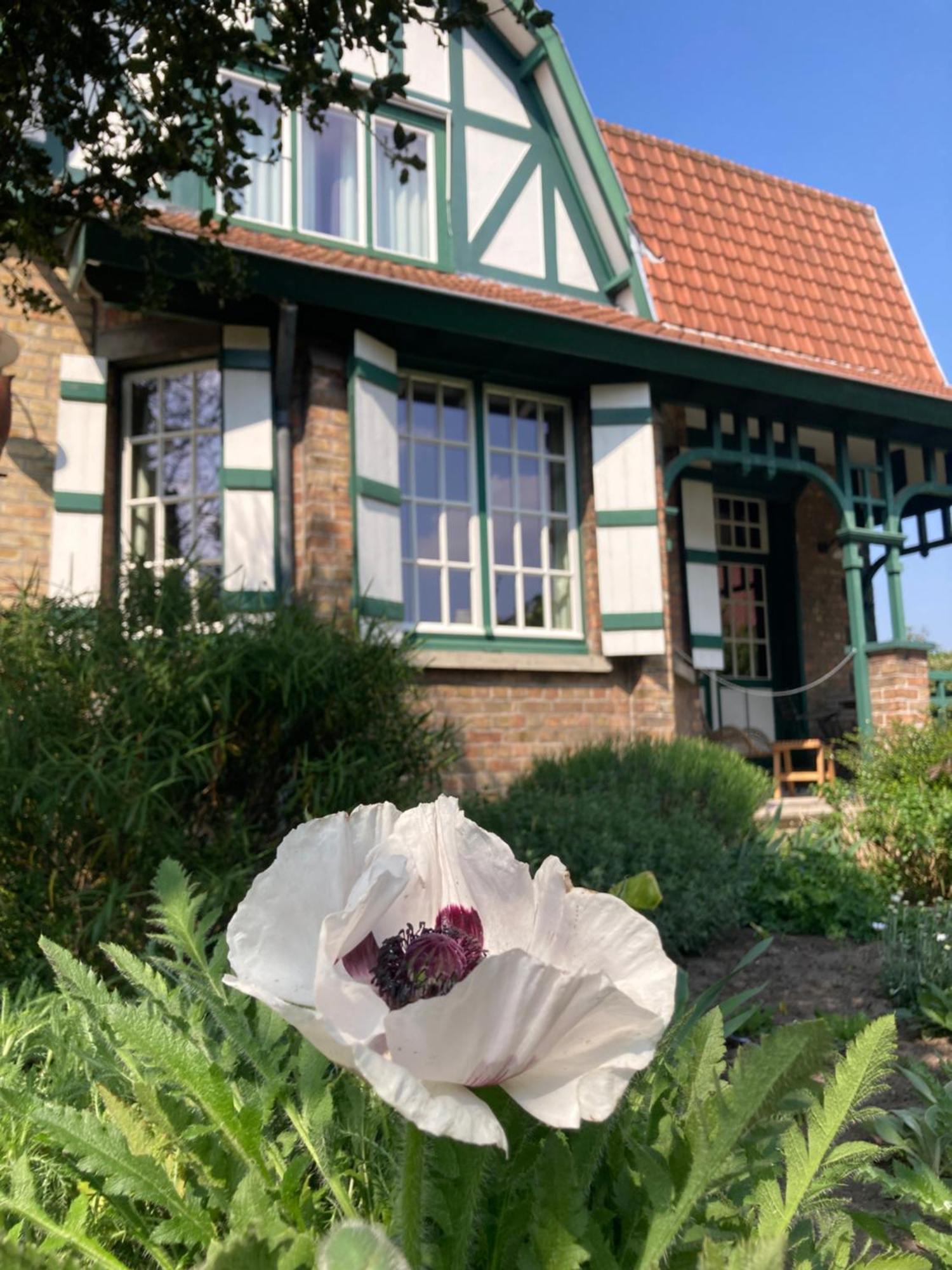 Tree & B Bed & Breakfast Bruges Exterior photo
